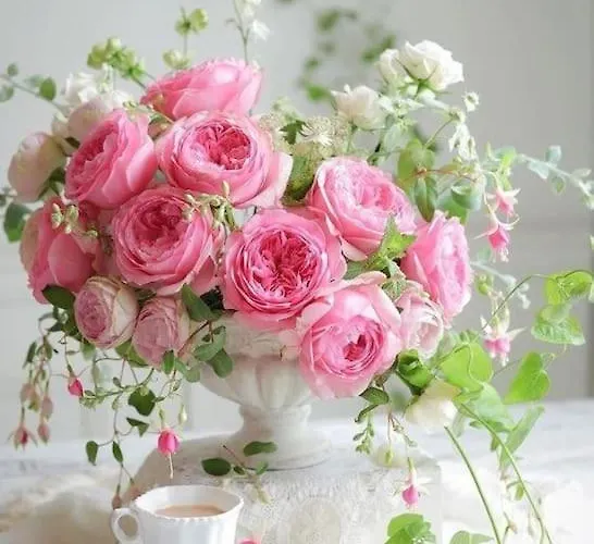 Lejlighed - Chilliges In Mit Balkon & Kuche; Big Tv And Bed - Düsseldorf